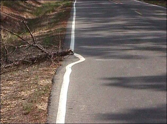 never be a good software tester.
