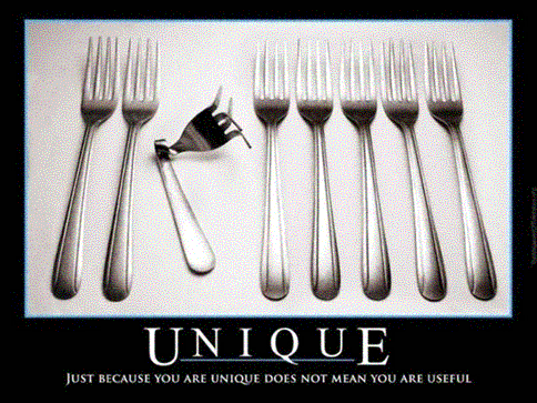 Just because you are unique does not mean you are useful.